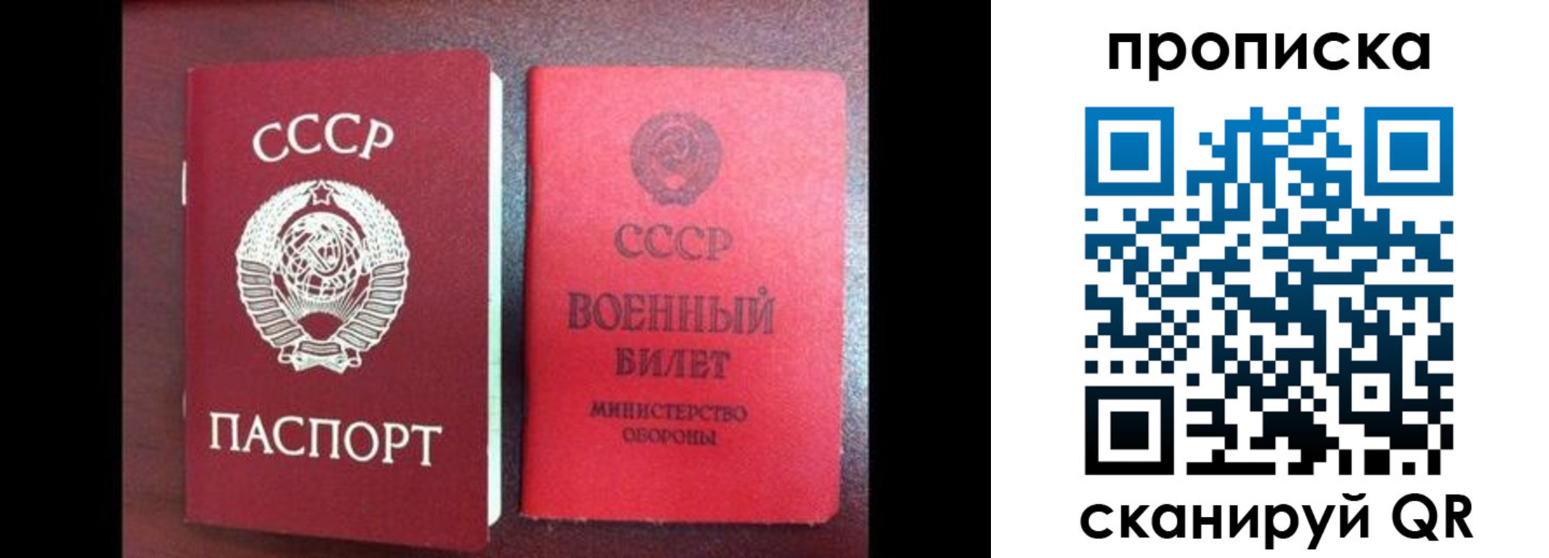 временная регистрация поиск в Алтае